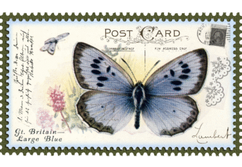 OLD STAMP